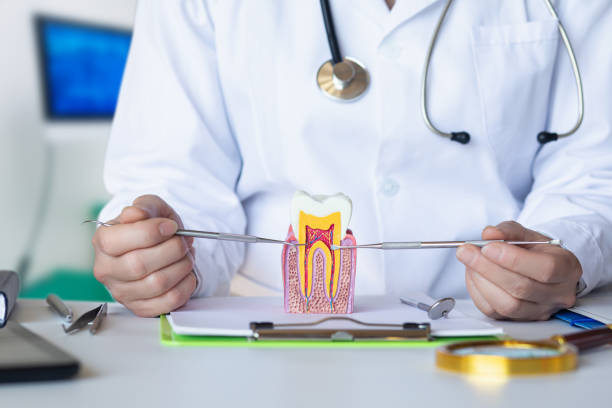 Best Emergency Dental Care for Abscessed Tooth in Fredericksburg, TX